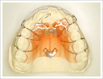 ortho_pic01.jpg